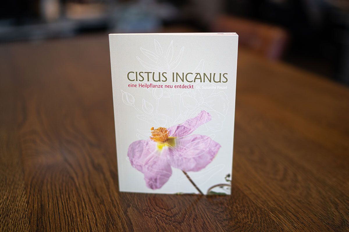 Cistus Incanus – eine Heilpflanze neu entdeckt (Download)