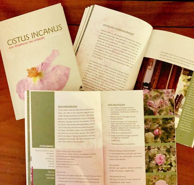 Buch Cistus Incanus – eine Heipflanze neu entdeckt