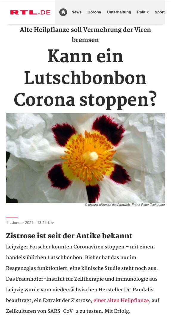 Pressemeldung rtl.de